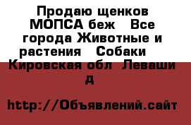 Продаю щенков МОПСА беж - Все города Животные и растения » Собаки   . Кировская обл.,Леваши д.